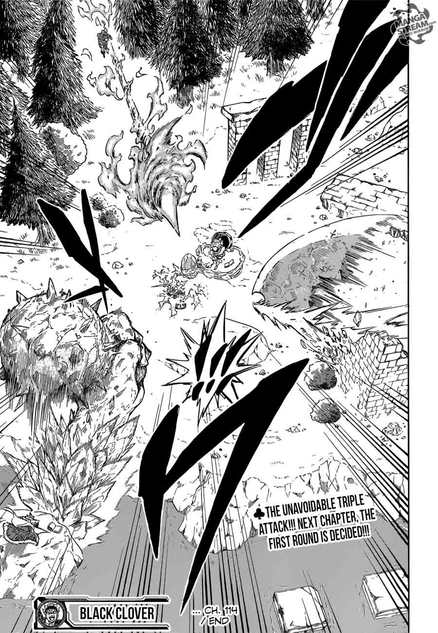 Black Clover Chapter 114 page 17 - Chapter 114: Flower of Resolution