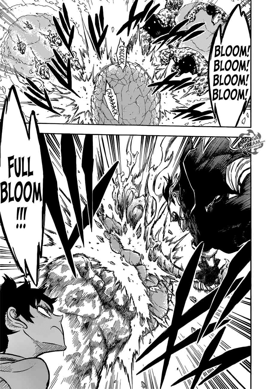 Black Clover Chapter 116 page 14 - Chapter 116: Coral Peacock's Vice-Captain