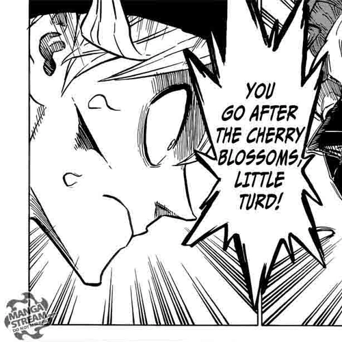 Black Clover Chapter 125: It Was Beautiful cover