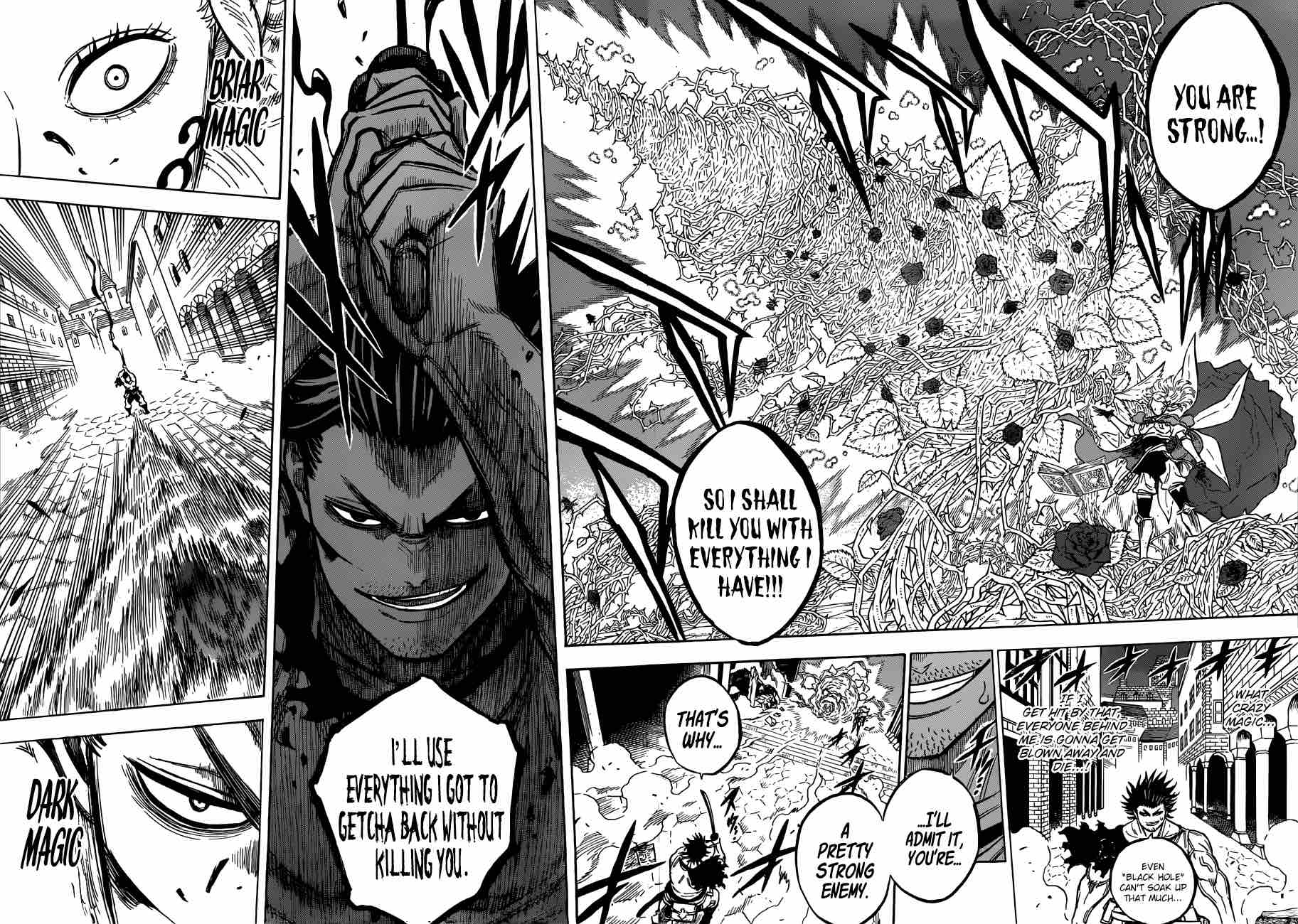 Black Clover Chapter 169 page 12 - Chapter 169: The Black Bulls Captain vs. the Crimson Wild Rose