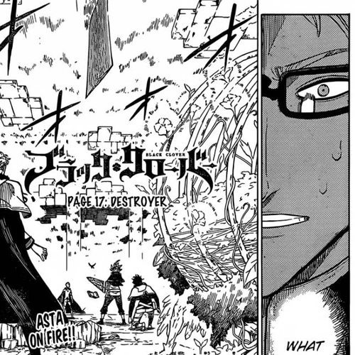 Black Clover Chapter 17: Destroyer cover