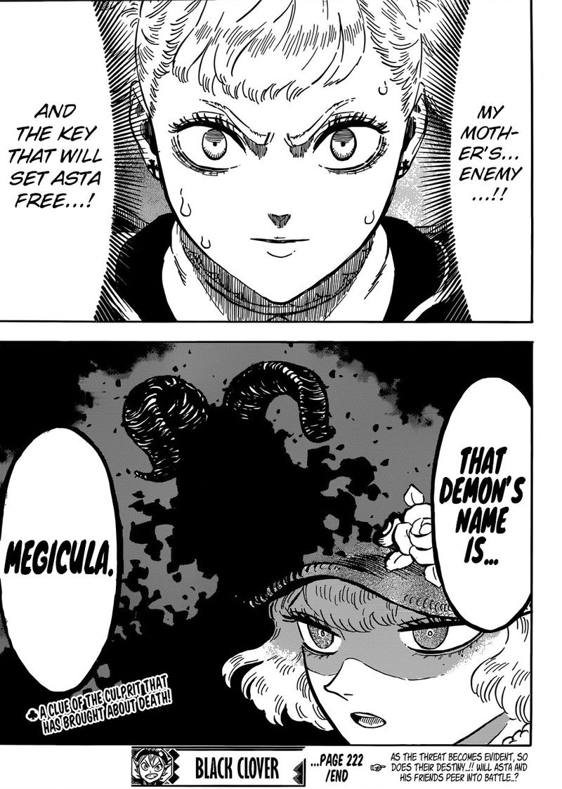 Black Clover Chapter 222 page 14 - Chapter 222: Just Between Us