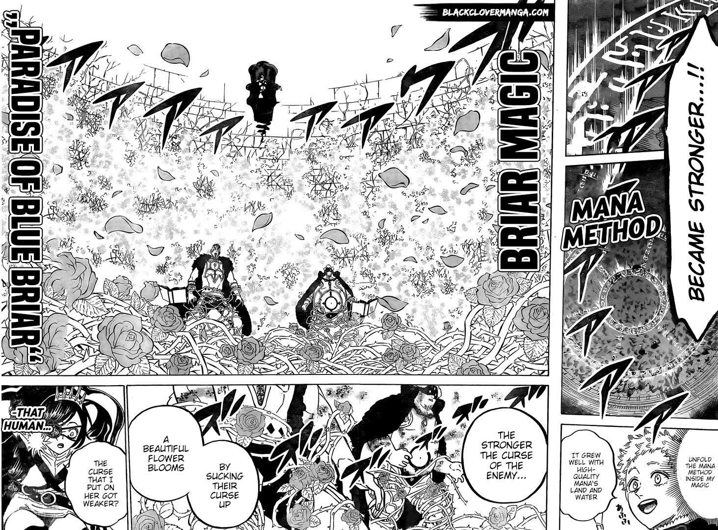 Black Clover Chapter 277 page 10 - Chapter 277: Queen of Briars