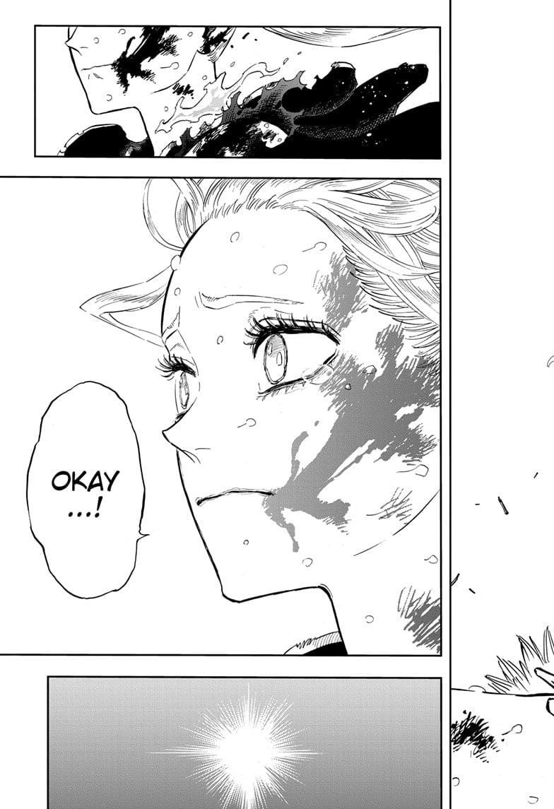Black Clover Chapter 373 page 17 - Chapter 373: The Silva Siblings