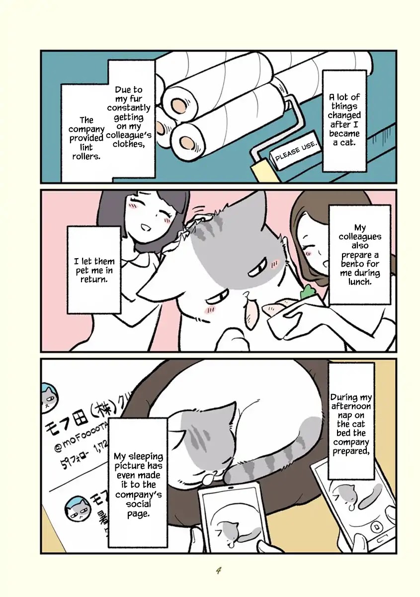Black Company's Employee Become Cats, Life Changed Story. Chapter 0 page 7 - Chapter 0