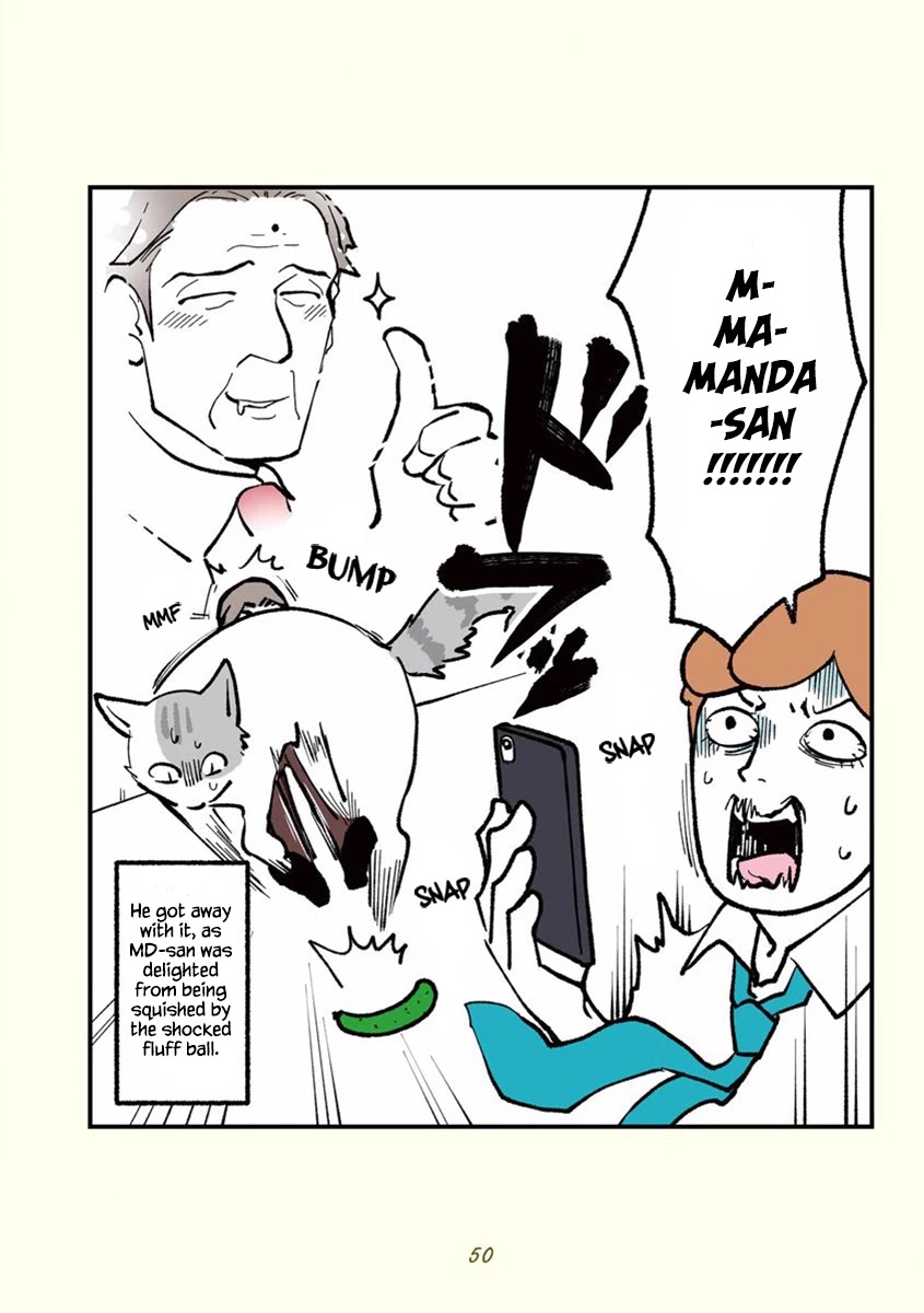 Black Company's Employee Become Cats, Life Changed Story. Chapter 5 page 7 - Chapter 5