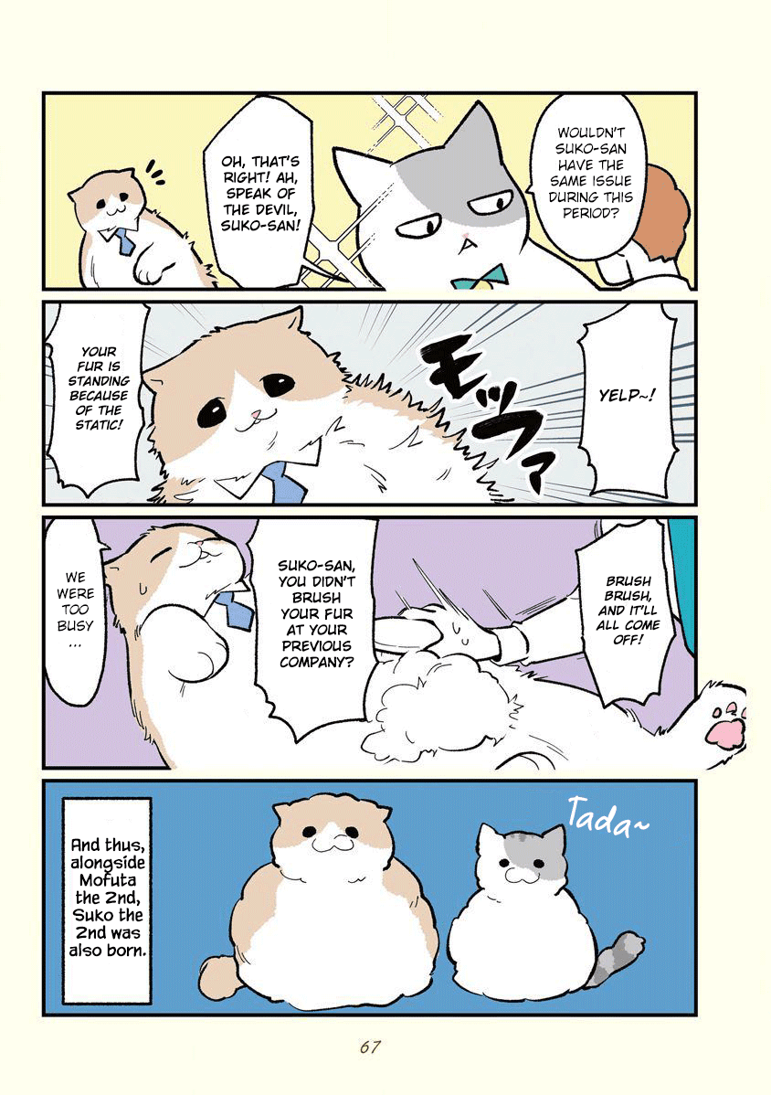 Black Company's Employee Become Cats, Life Changed Story. Chapter 7 page 4 - Chapter 7