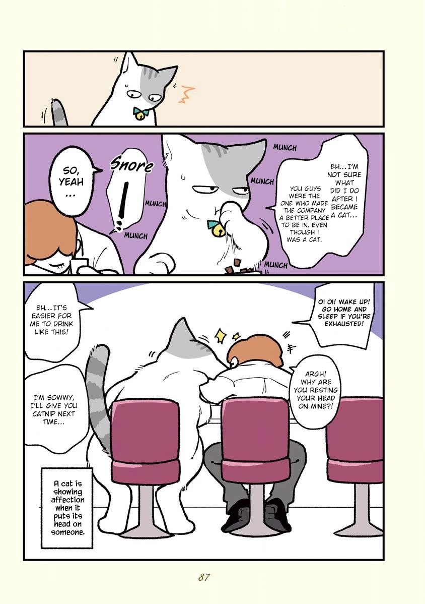 Black Company's Employee Become Cats, Life Changed Story. Chapter 8 page 12 - Chapter 8