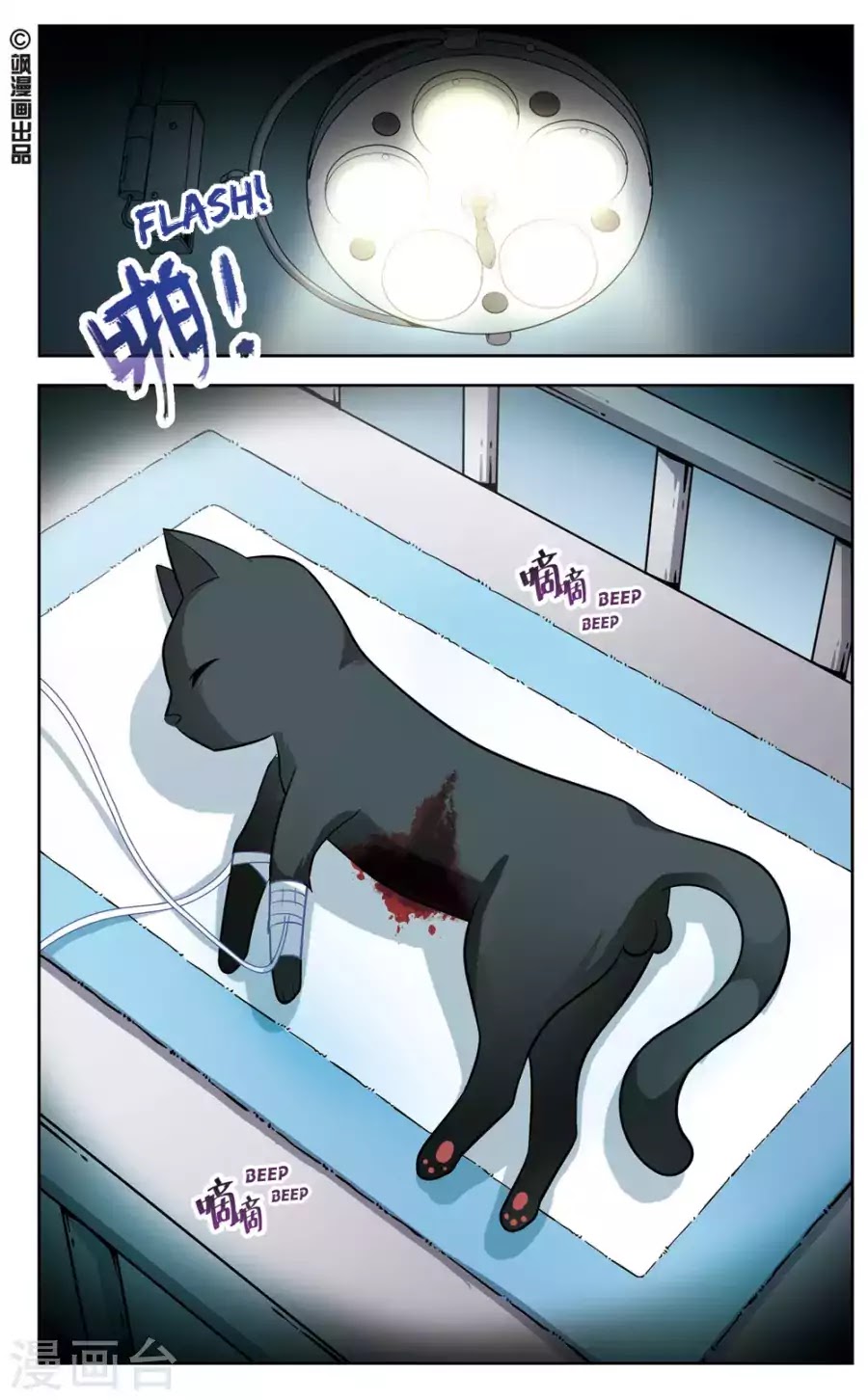 Black Feather Love Song Chapter 1 page 2 - Chapter 1: Black Cat