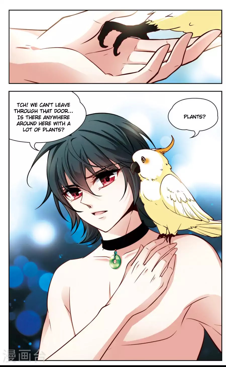 Black Feather Love Song Chapter 2 page 20 - Chapter 2: Help Me! I Turned Into a Parrot!?