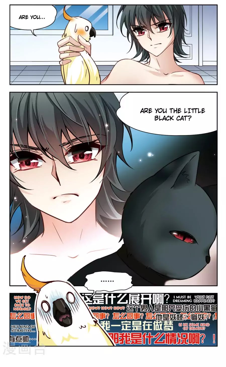 Black Feather Love Song Chapter 2 page 6 - Chapter 2: Help Me! I Turned Into a Parrot!?