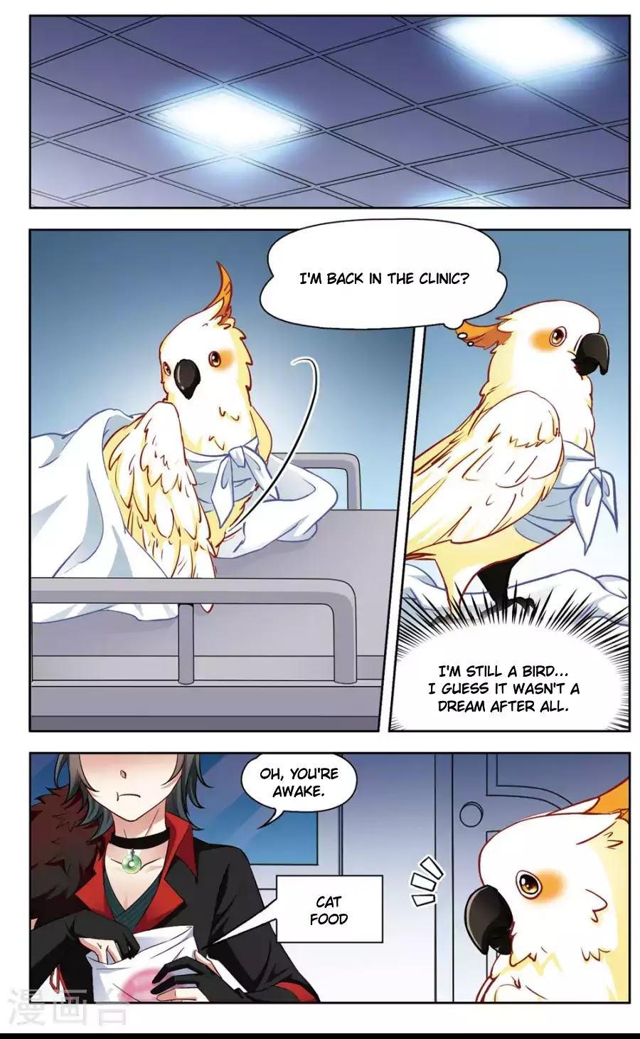Black Feather Love Song Chapter 3 page 18 - Chapter 3: Overnight Transformation