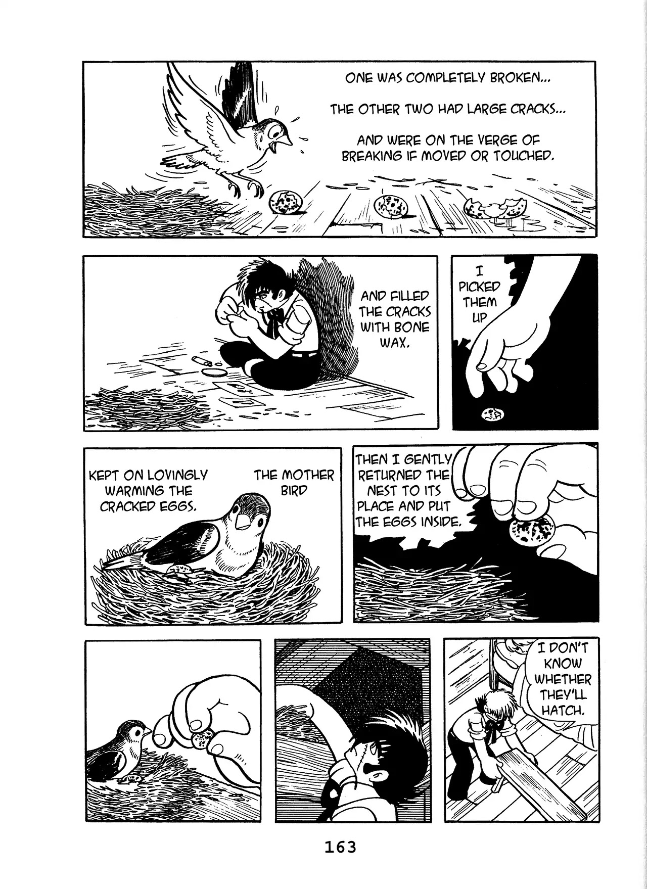 Black Jack Chapter 13.8 page 15 - Vol.13 Chapter 8: A Night in a Cottage