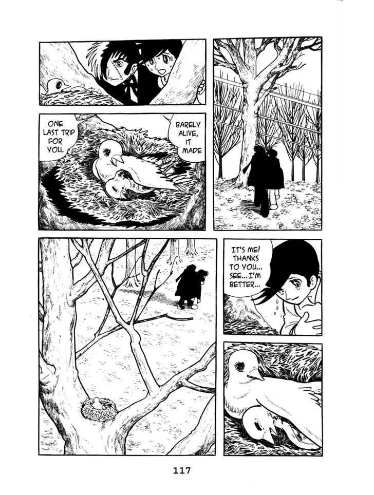 Black Jack Chapter 3.5 page 21 - Vol.3 Chapter 5: The Robin and the Boy