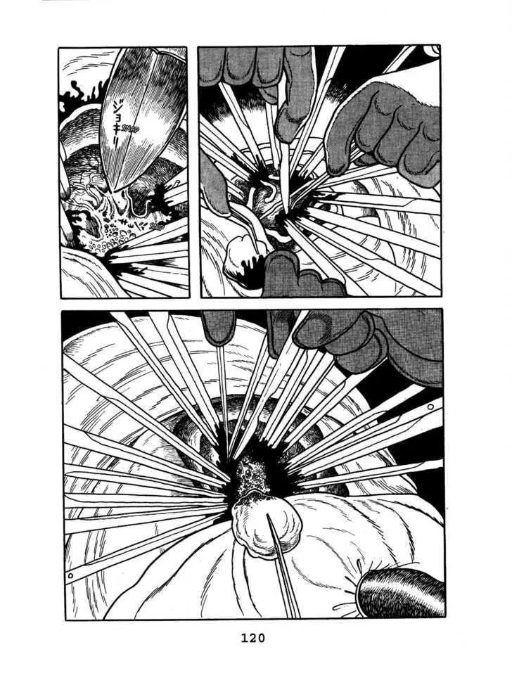 Black Jack Chapter 6.5 page 12 - Vol.6 Chapter 5: Lion-face Disease