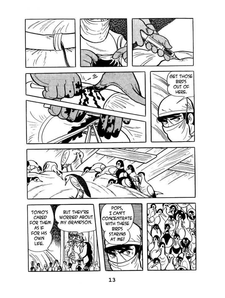 Black Jack Chapter 7.1 page 15 - Vol.7 Chapter 1: Guys and Birds