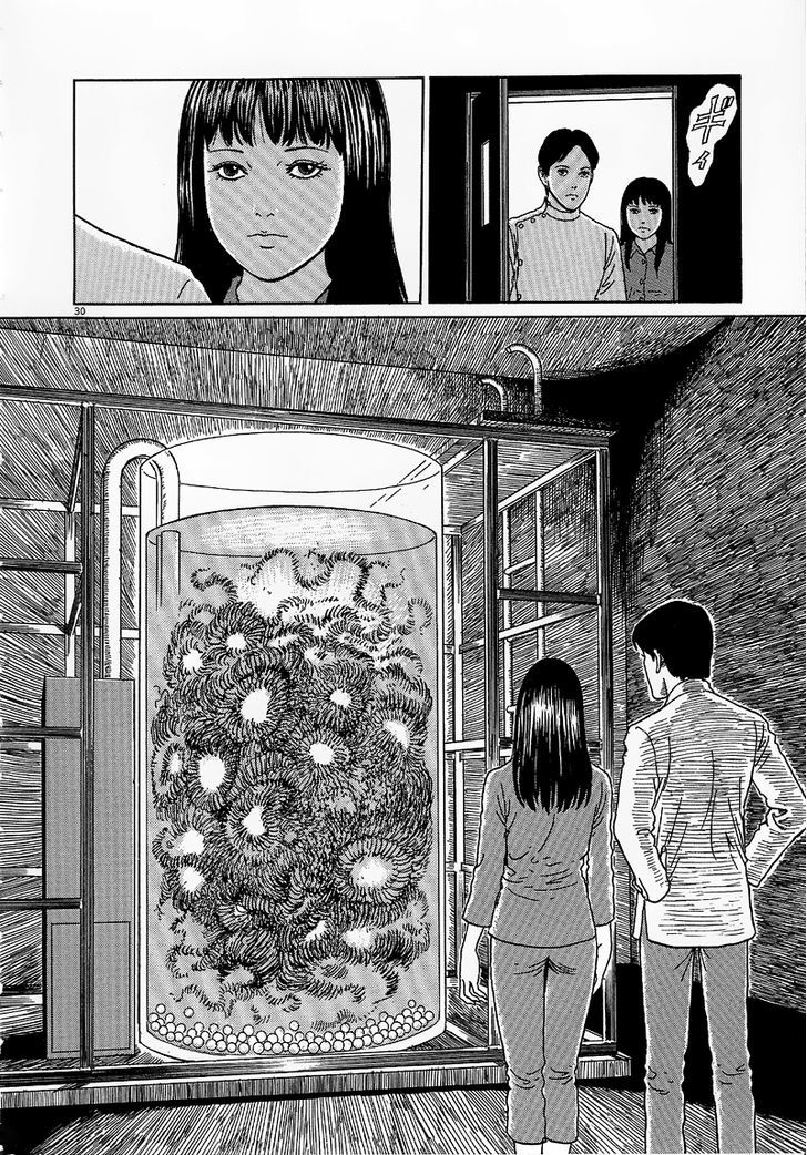 Black Paradox Chapter 6 page 30 - Chapter 6