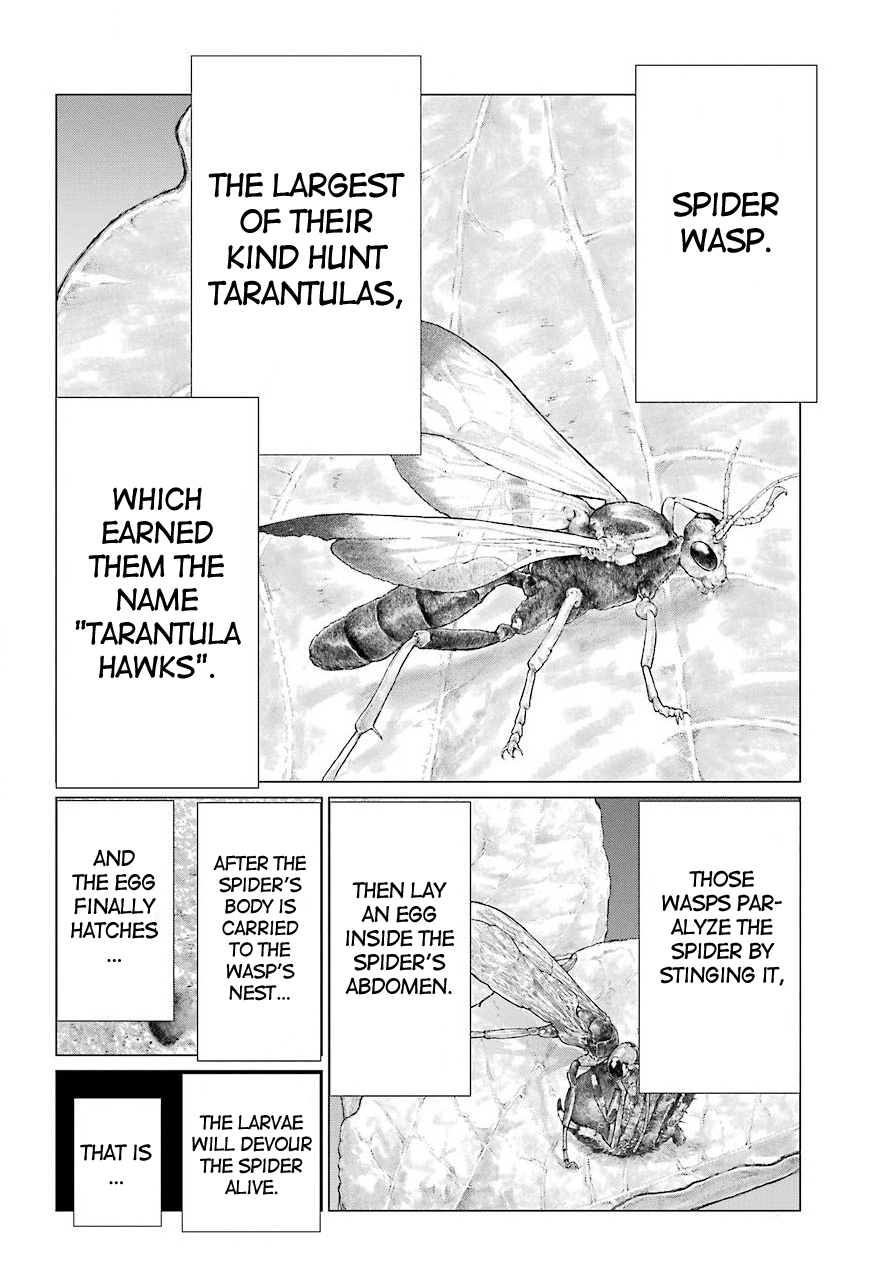 Blattodea Chapter 10 page 19 - Chapter 10: I Will Protect You