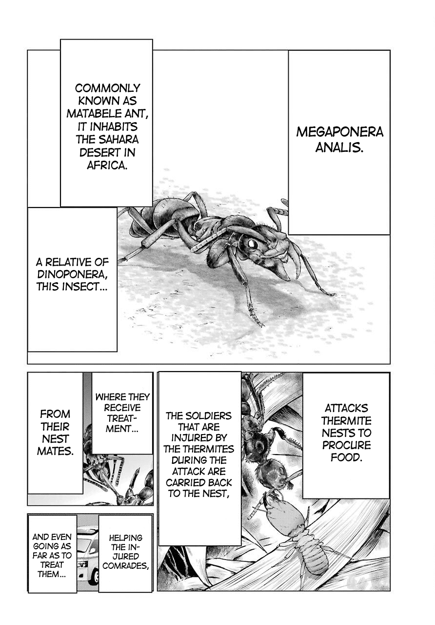 Blattodea Chapter 4 page 31 - Chapter 4: Absolutely Unacceptable
