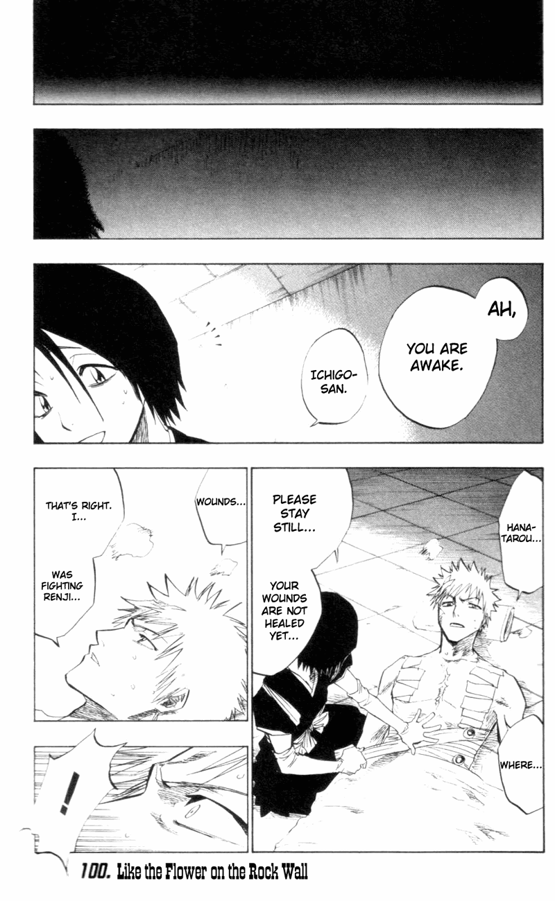 Bleach Chapter 100 page 1 - Chapter 100: Flower on the Precipice