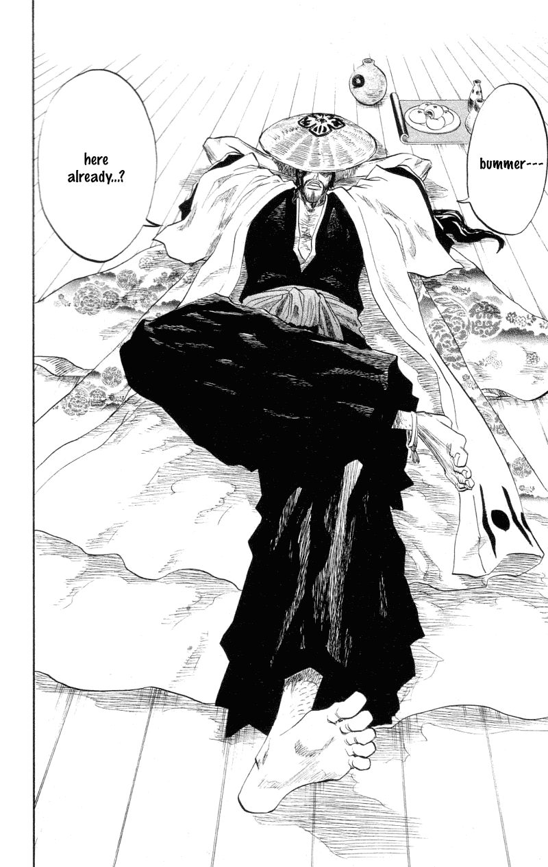 Bleach manga, chapter 102, page 15 of 21
