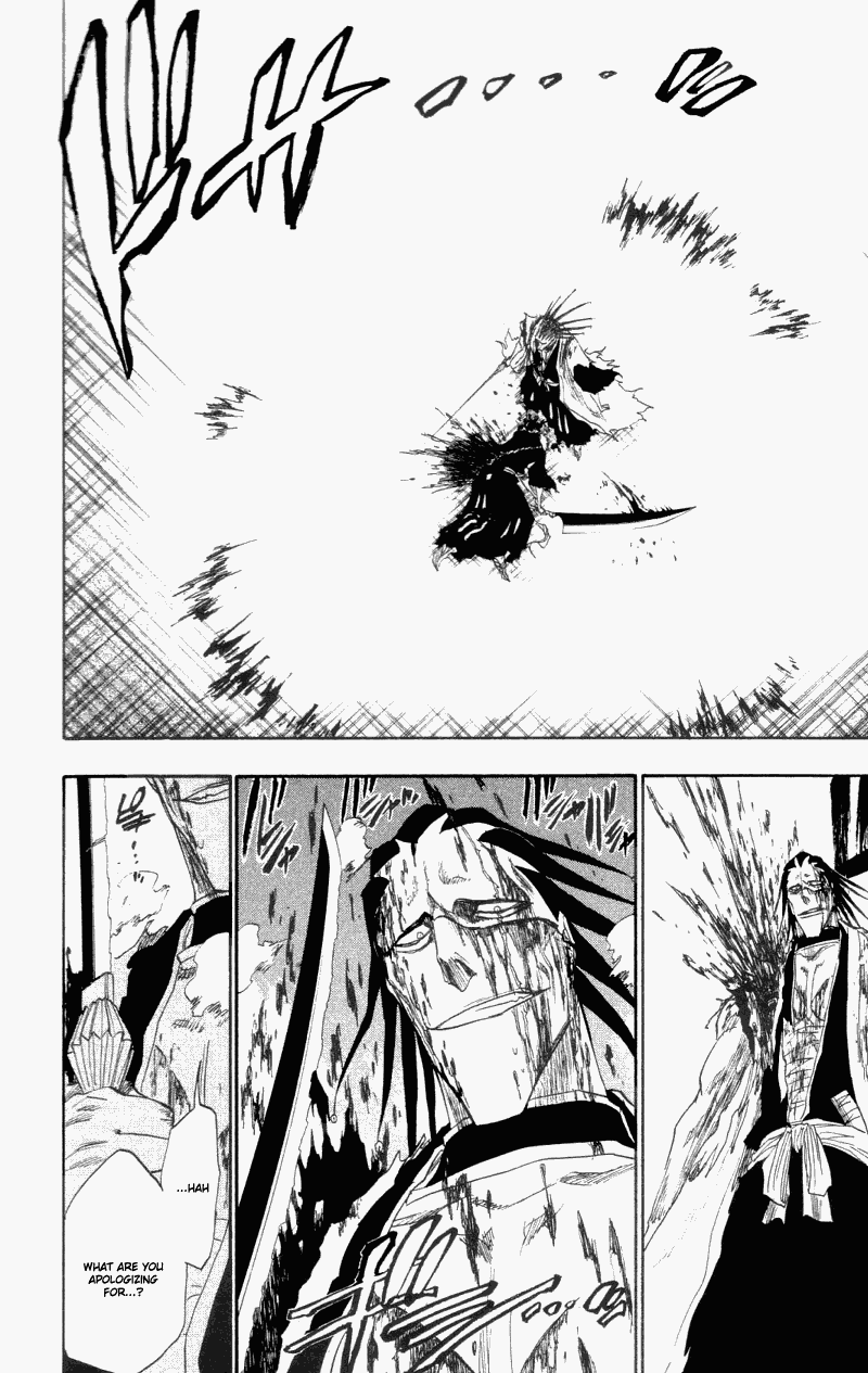 Bleach manga, chapter 113, page 17 of 20