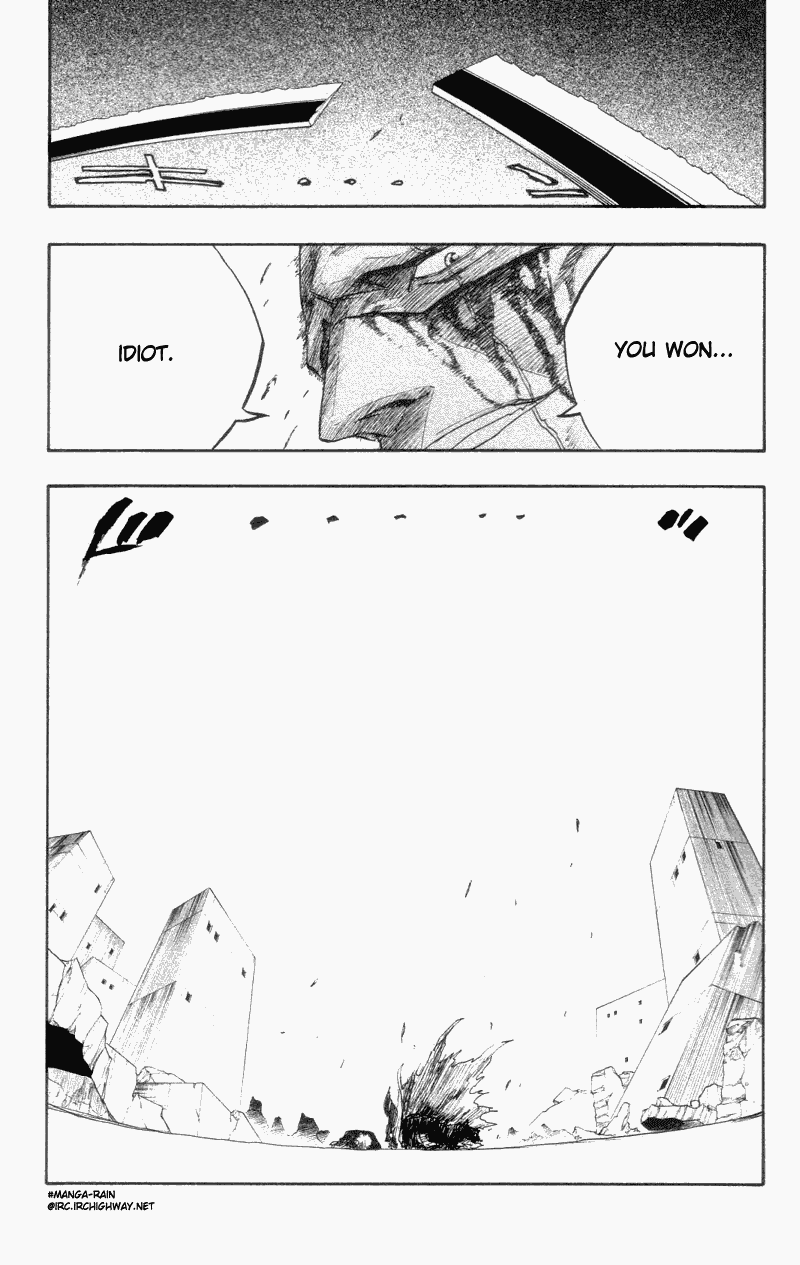 Bleach manga, chapter 113, page 18 of 20
