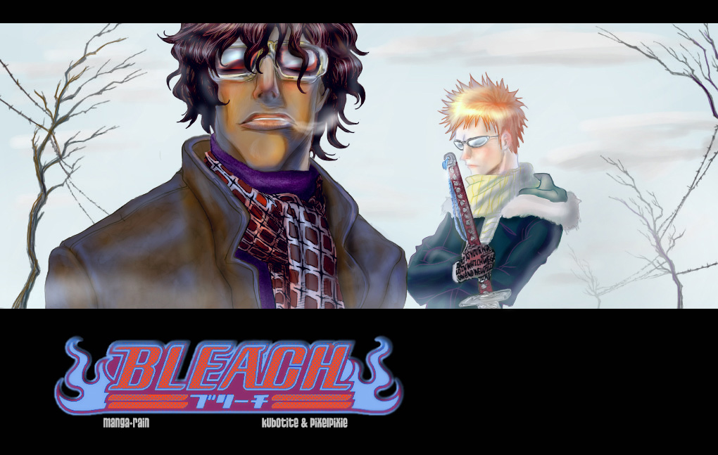 Bleach manga, chapter 113, page 20 of 20