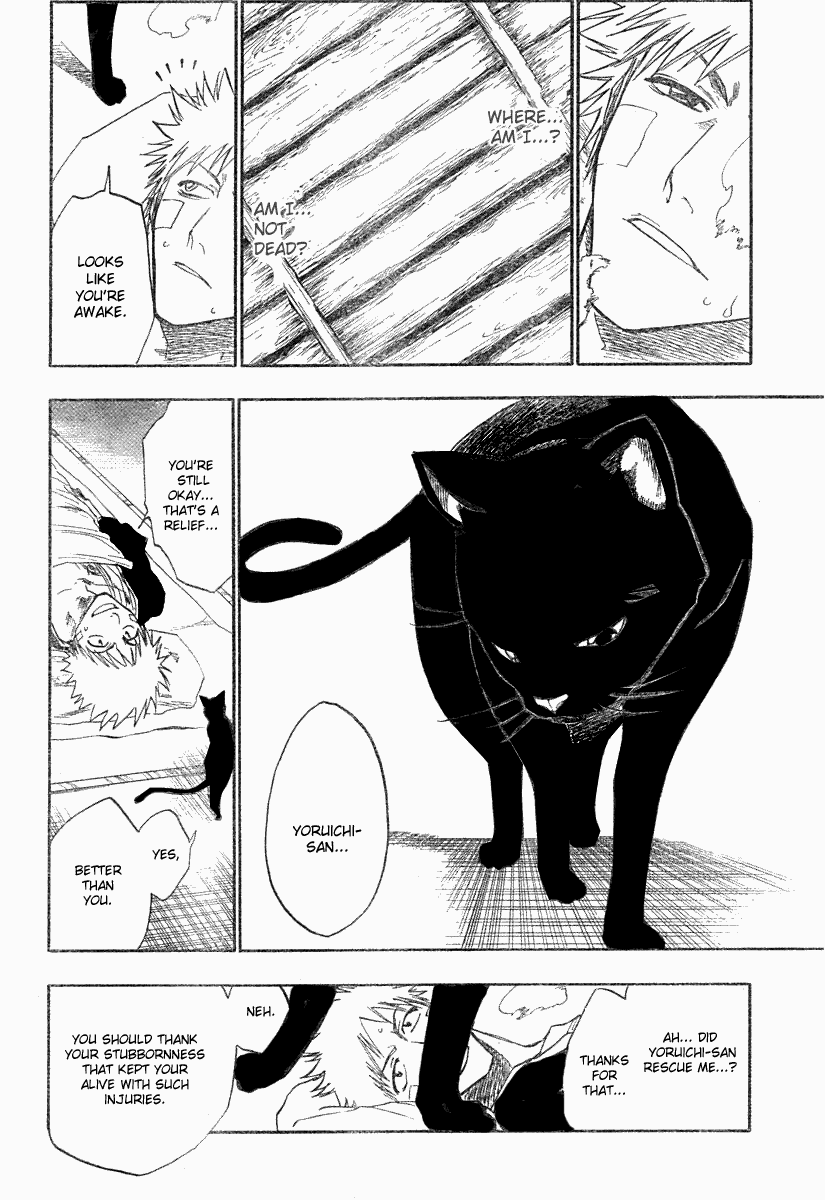 Bleach manga, chapter 116, page 16 of 52