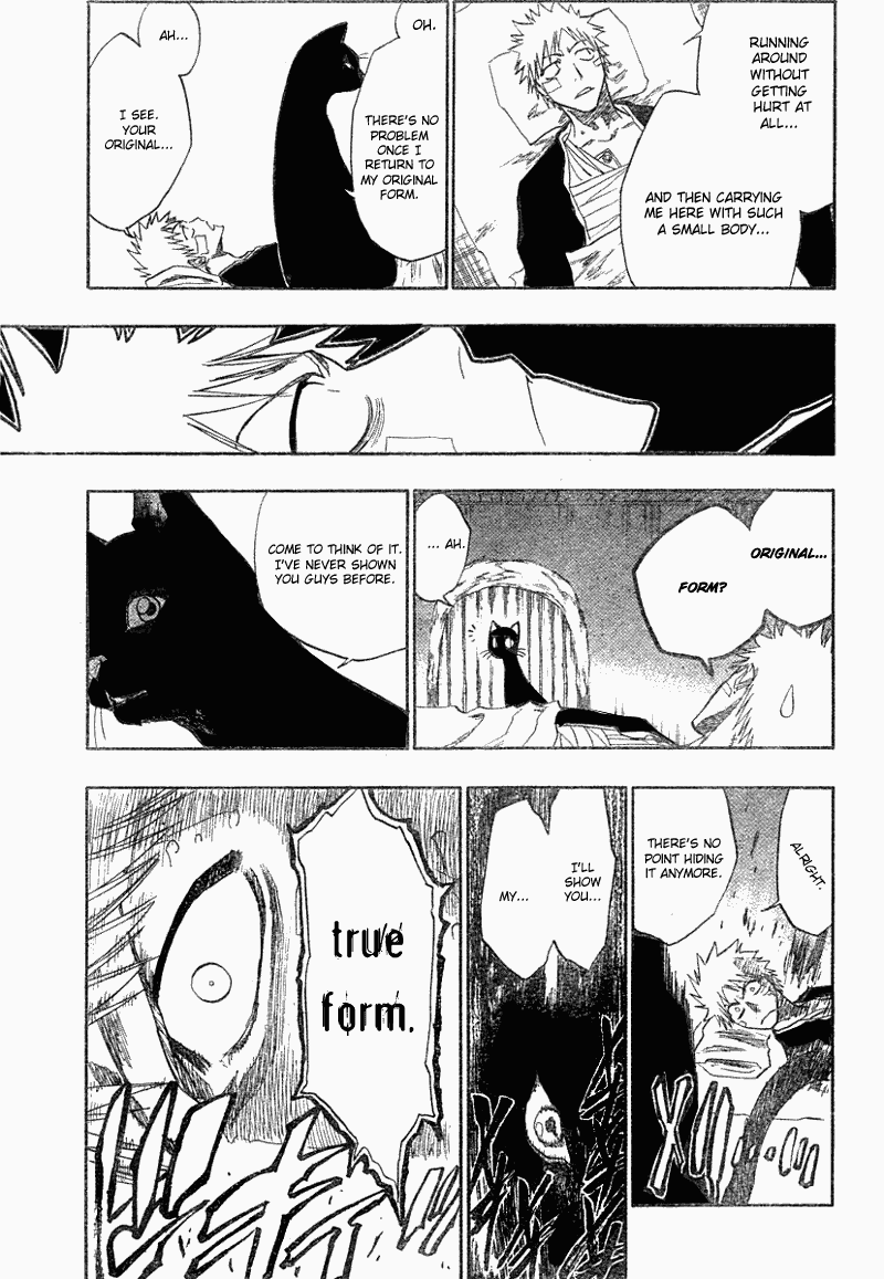 Bleach manga, chapter 116, page 21 of 52
