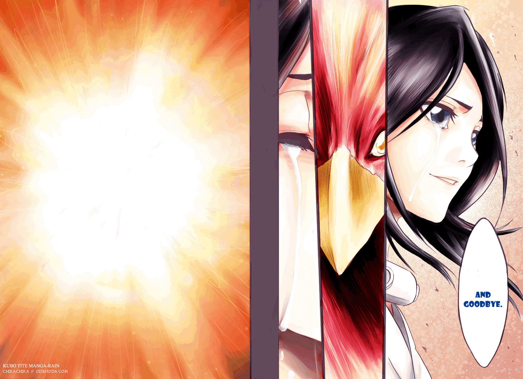 Bleach manga, chapter 150, page 17 of 21