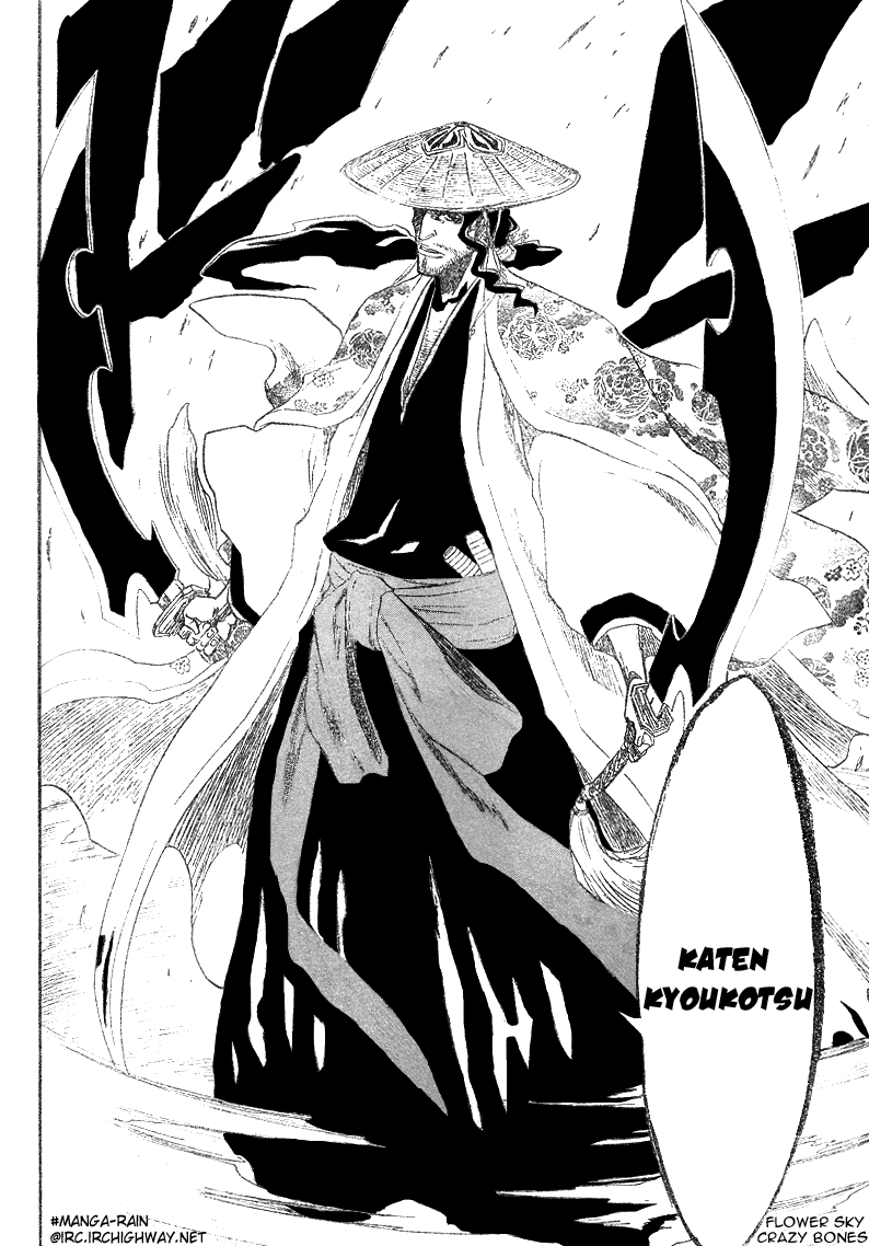 Bleach manga, chapter 156, page 14 of 18