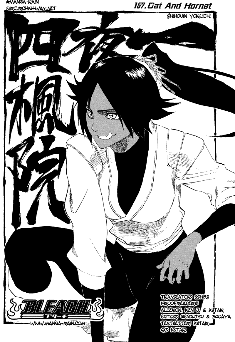 Bleach Chapter 157 page 9 - Chapter 157: Cat and Hornet