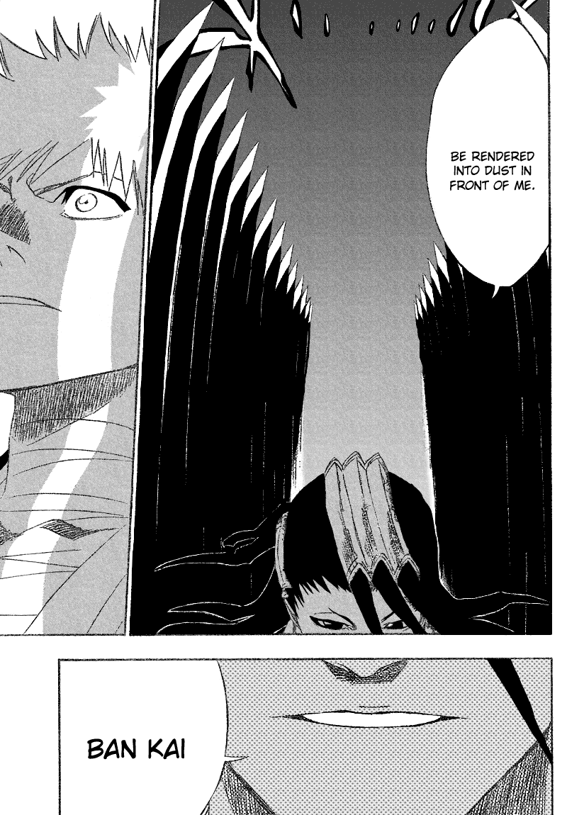 Bleach manga, chapter 161, page 13 of 21