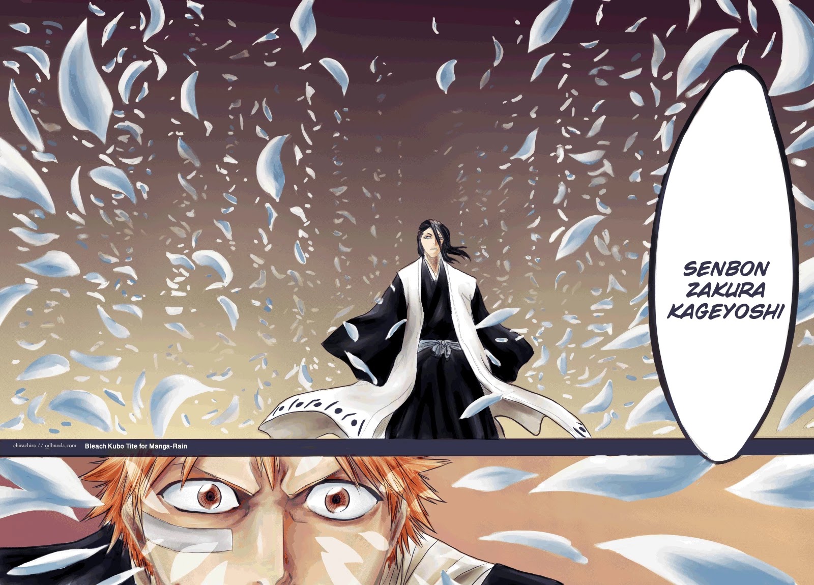 Bleach manga, chapter 161, page 14 of 21