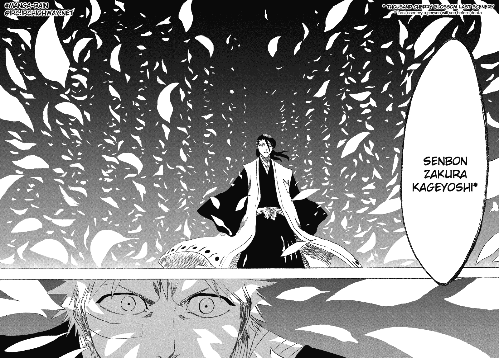Bleach manga, chapter 161, page 15 of 21
