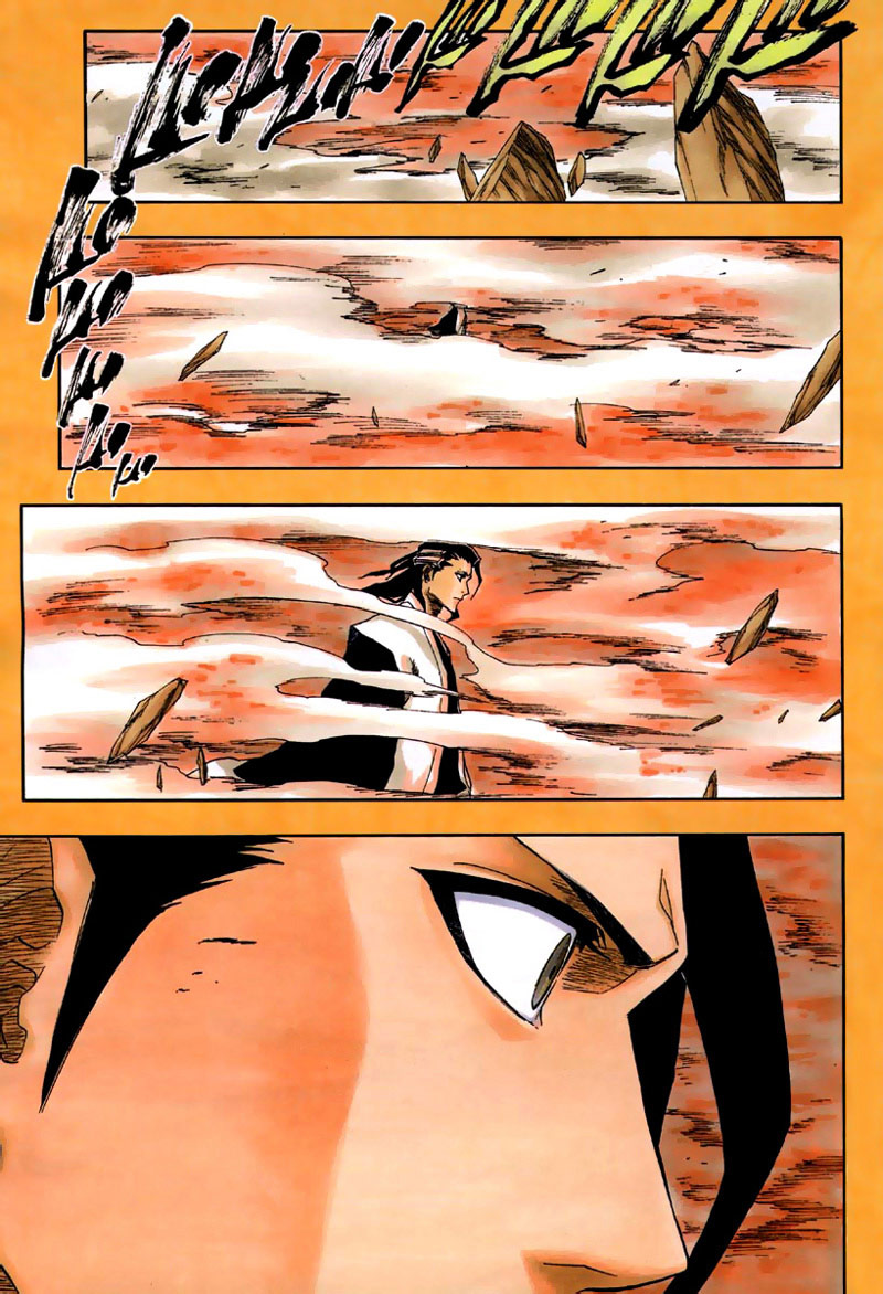 Bleach manga, chapter 162, page 13 of 18