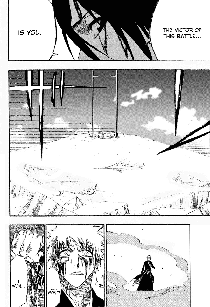 Bleach manga, chapter 167, page 14 of 20