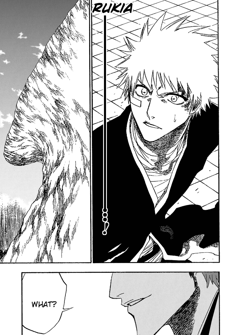 Bleach manga, chapter 172, page 19 of 21