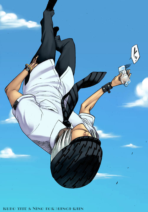 Bleach manga, chapter 183, page 20 of 22