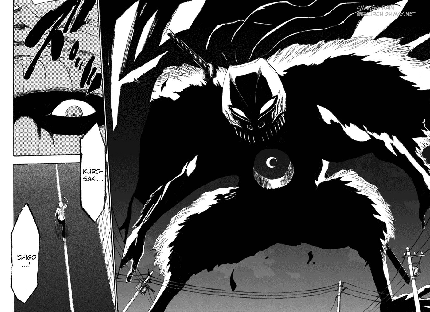 Bleach manga, chapter 184, page 24 of 25