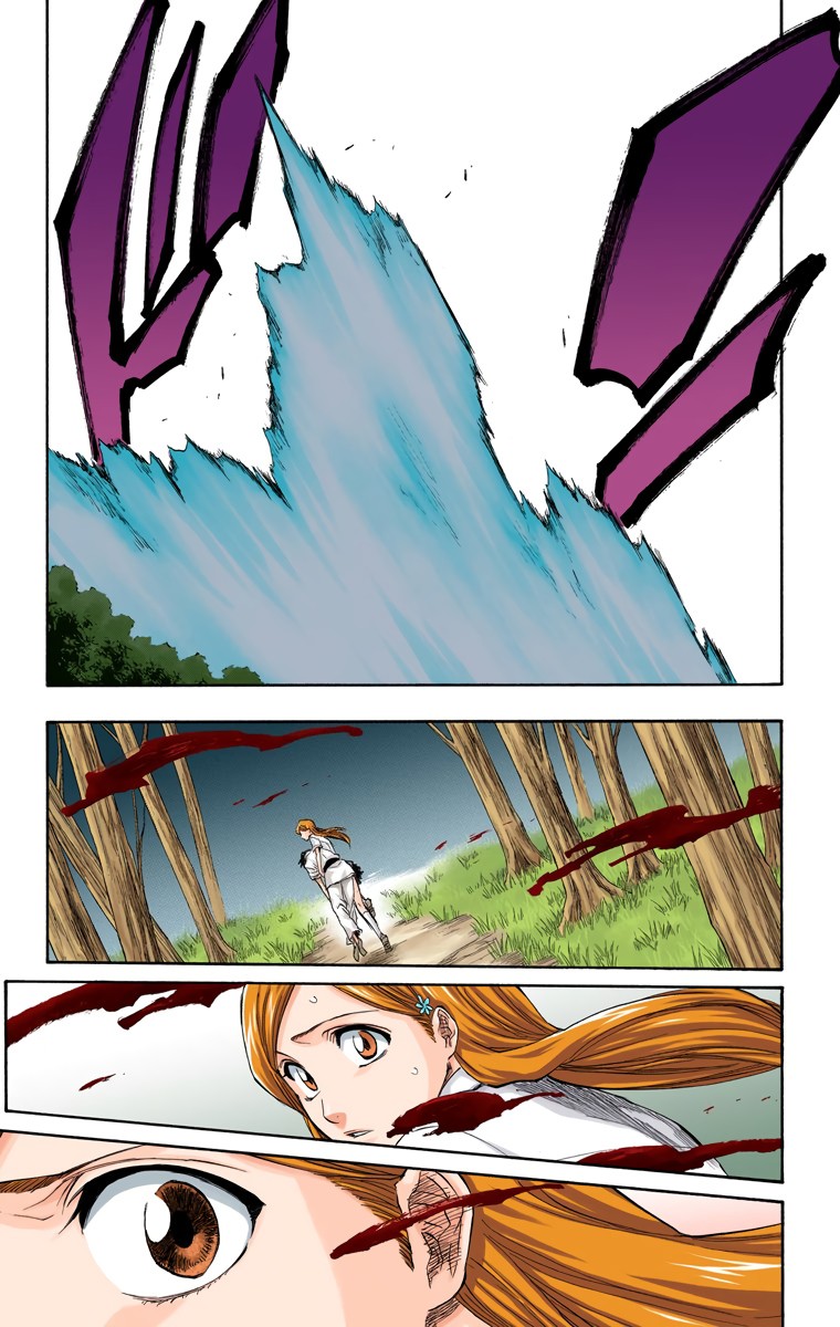 Bleach manga, chapter 191, page 17 of 20