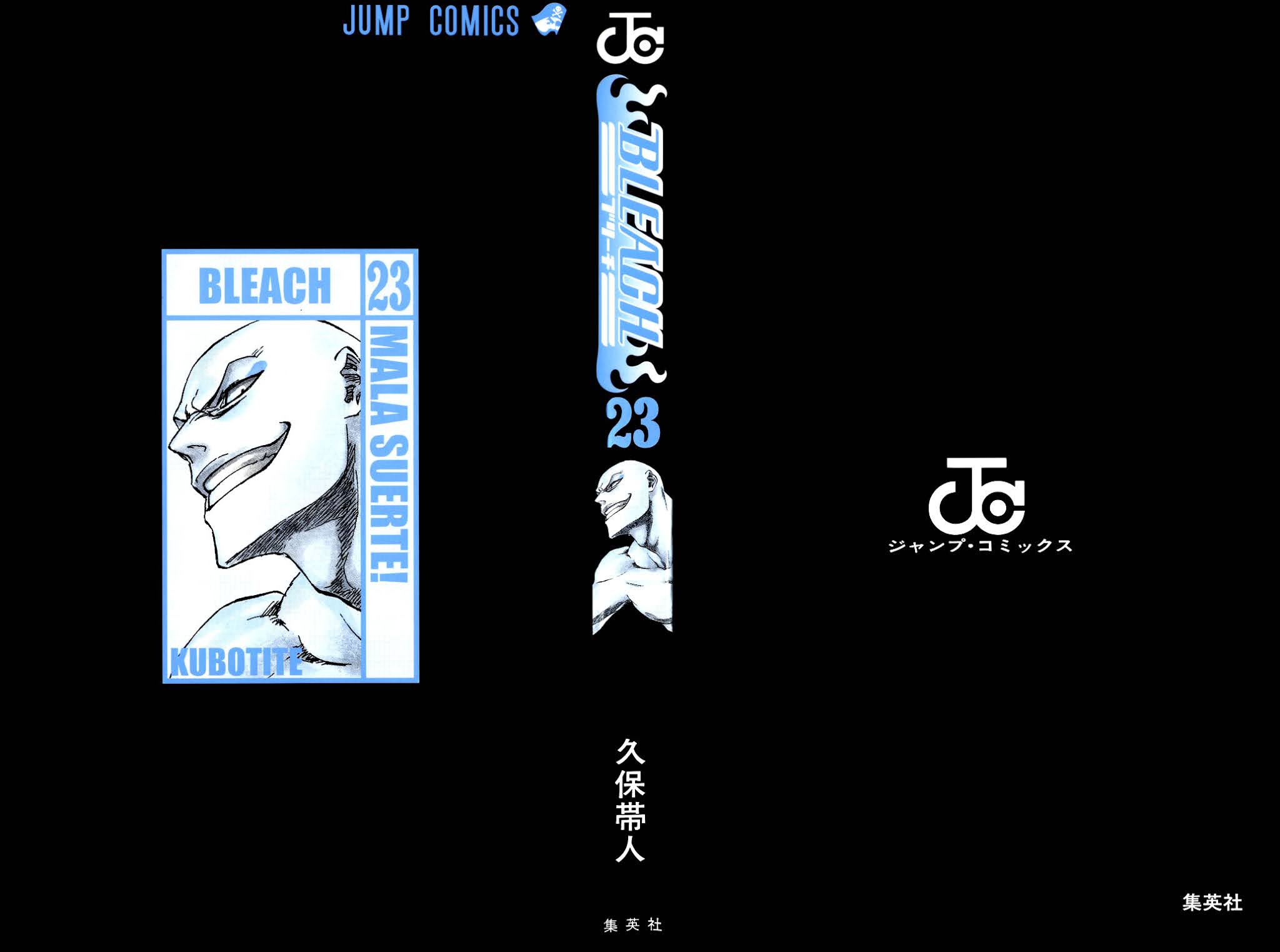 Bleach manga, chapter 198, page 4 of 27