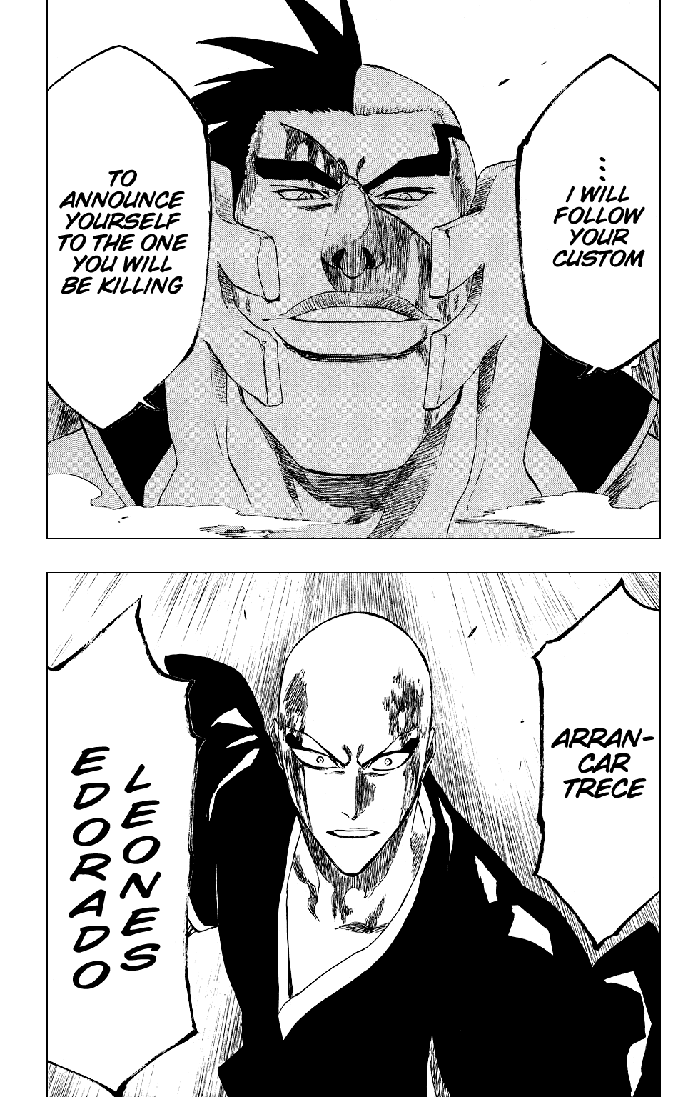 Bleach manga, chapter 203, page 19 of 21