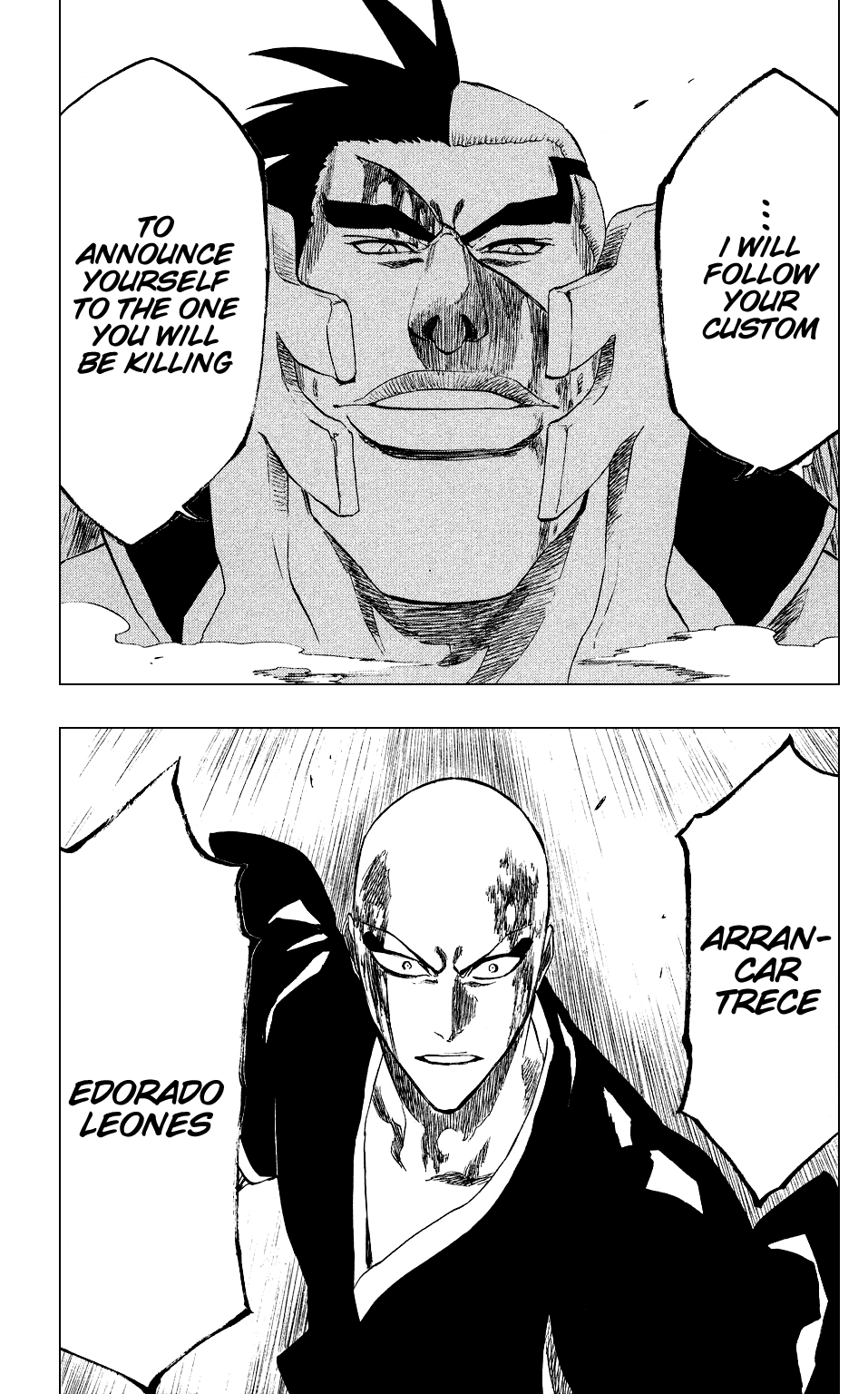 Bleach manga, chapter 203, page 20 of 21