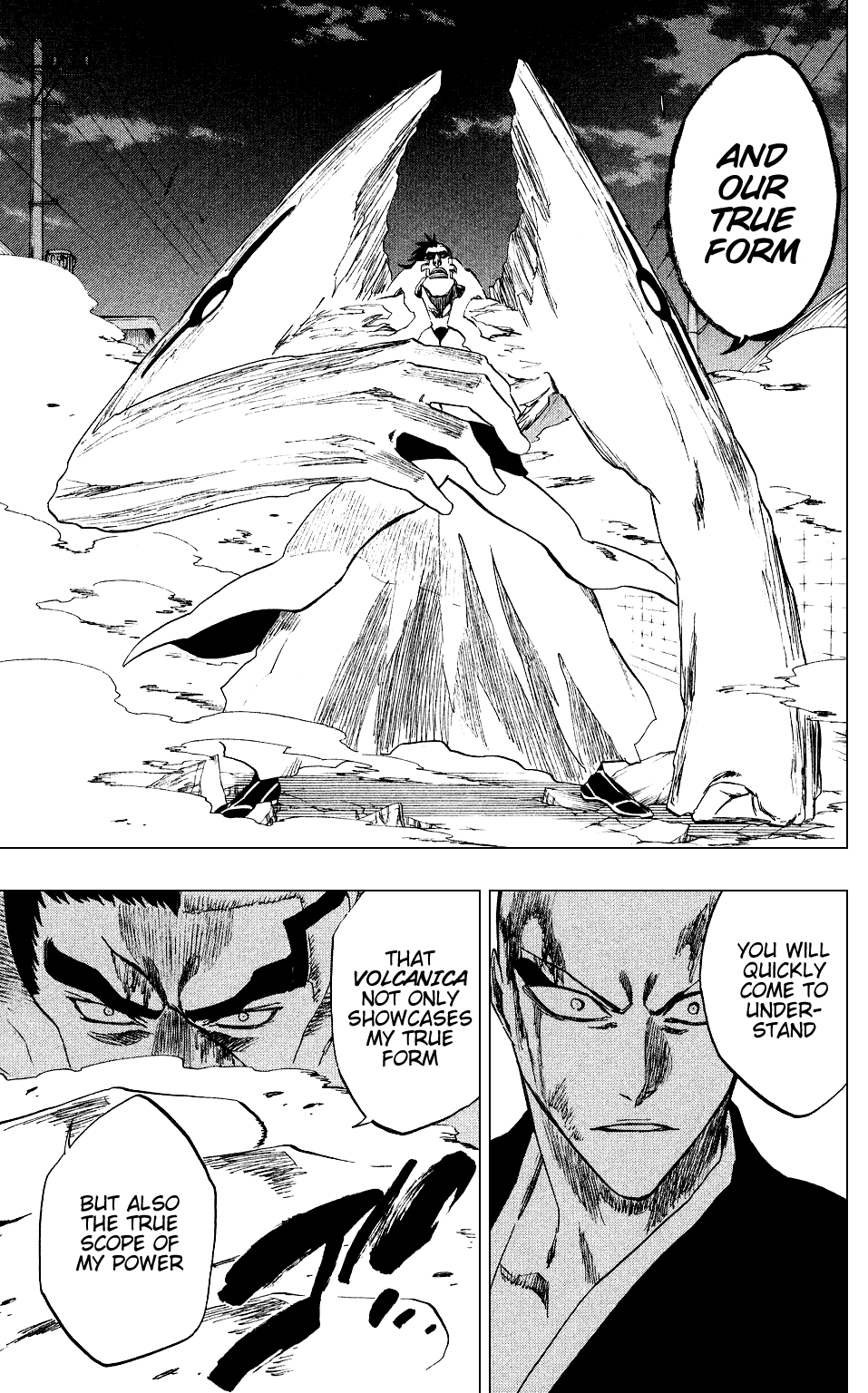 Bleach manga, chapter 204, page 11 of 24