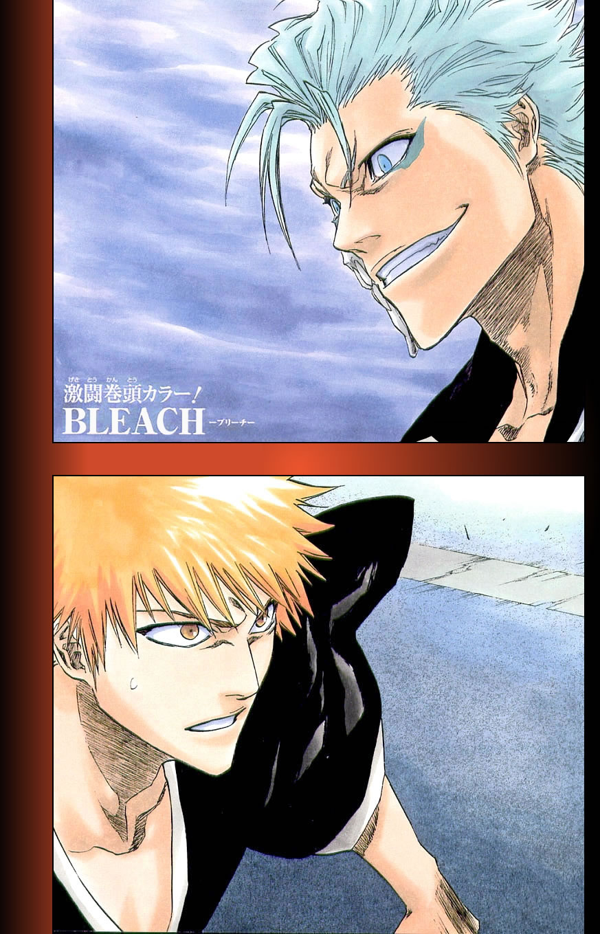 Bleach manga, chapter 204, page 2 of 24