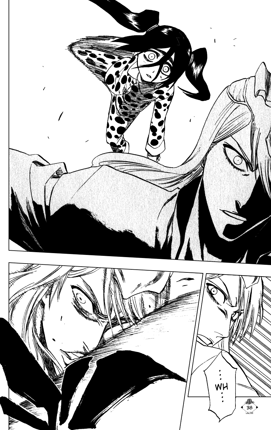 Bleach manga, chapter 207, page 12 of 20