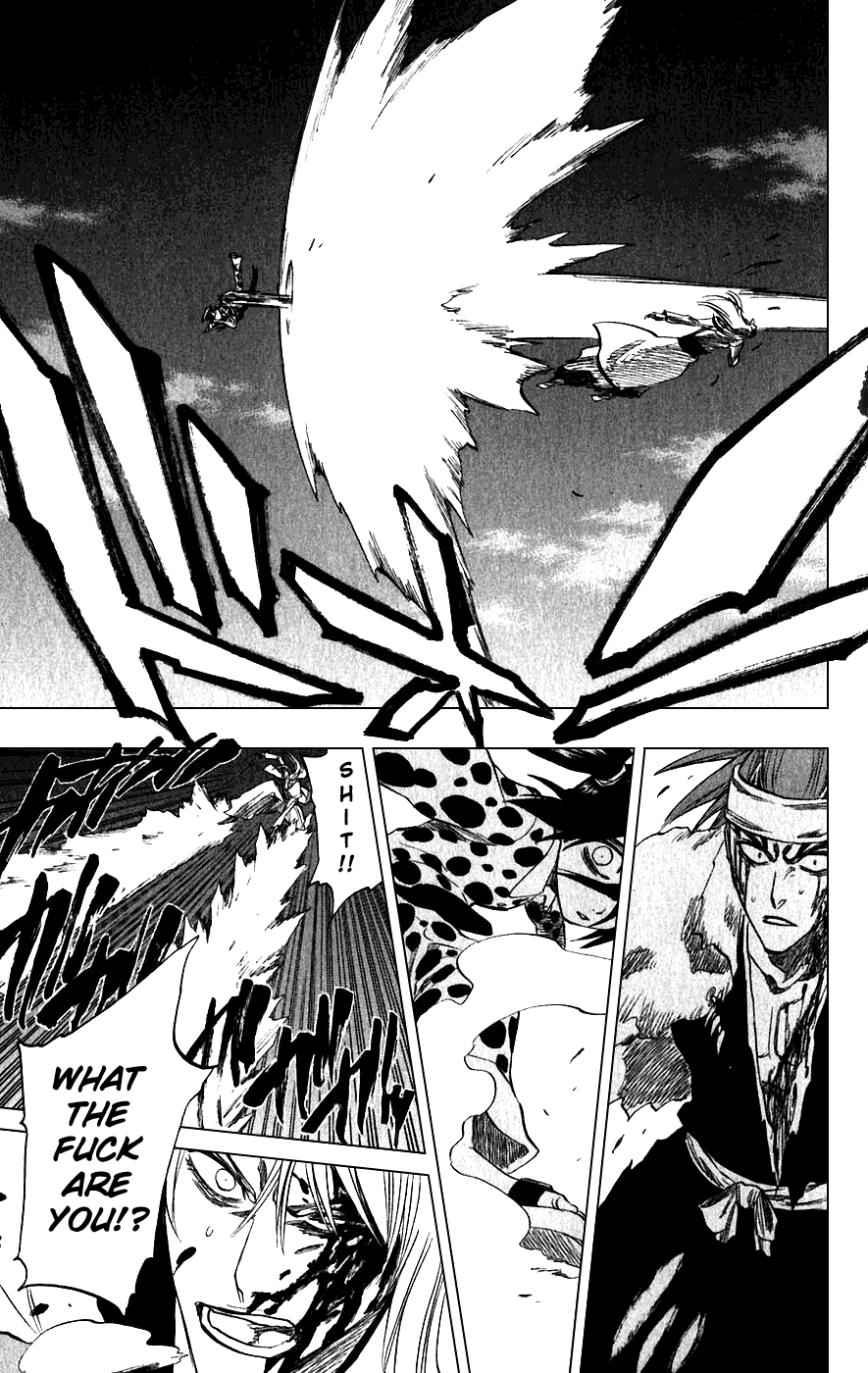 Bleach manga, chapter 207, page 13 of 20
