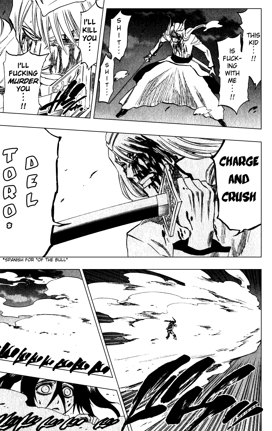 Bleach manga, chapter 207, page 17 of 20